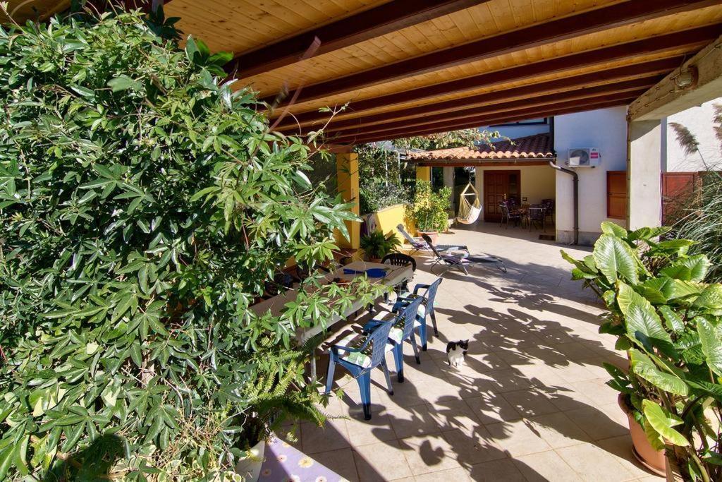 Apartments Caterina Pula Exterior photo